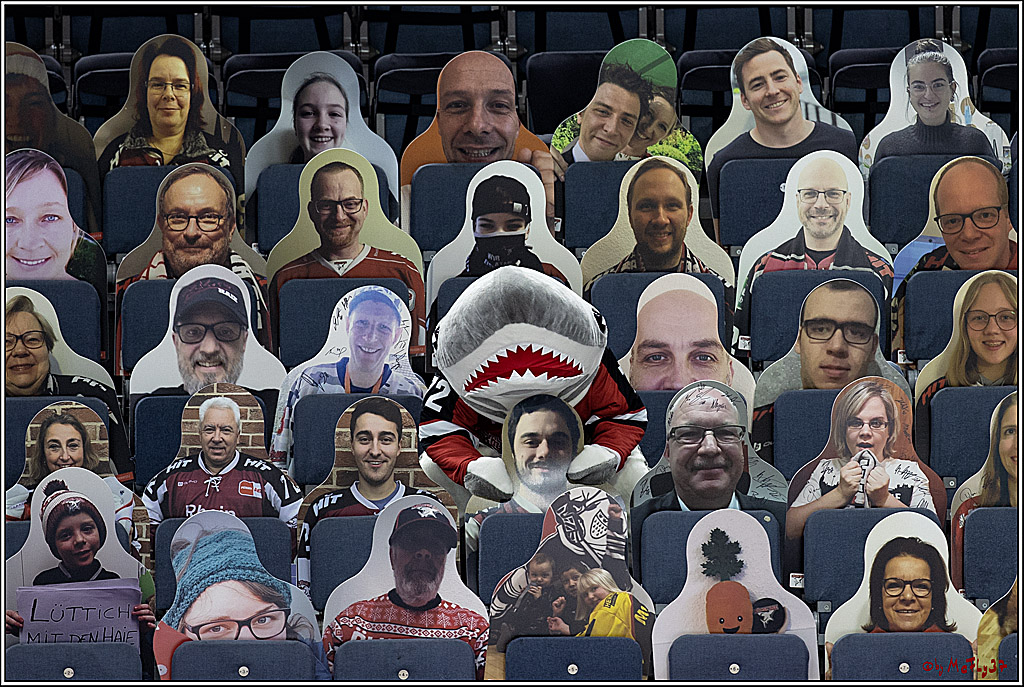 PENNY DEL;  Koelner Haie - Adler Mannheim; Koeln, 02.01.2022